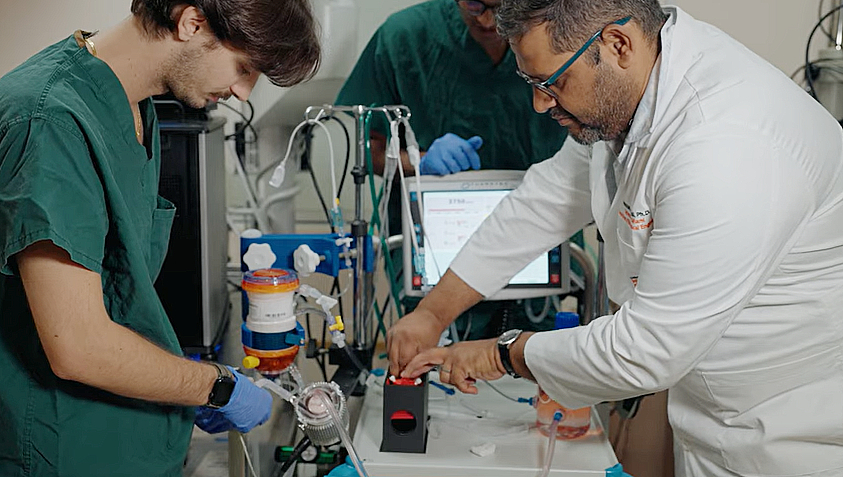 UM Whole Eye Transplant Project Overcomes Two Hurdles
