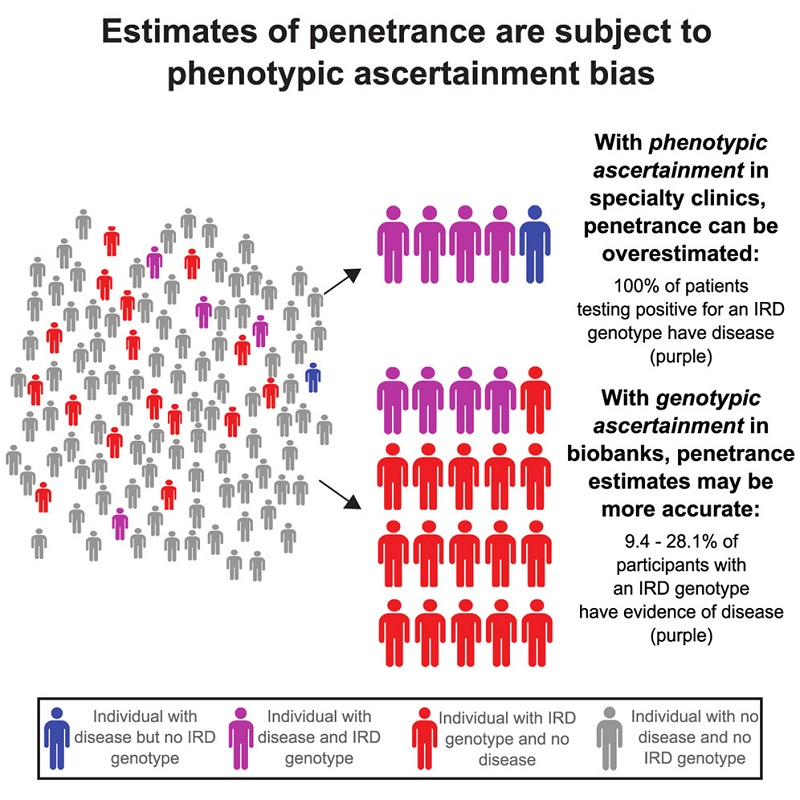 NEI Study Shows Gene Variants Don’t Always Lead to IRDs