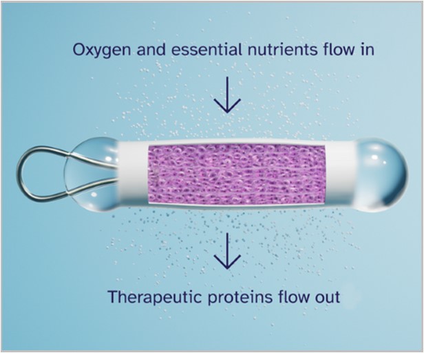 2025 in Review: Encelto for MacTel Nabs Many Firsts, Opens New Area of Study