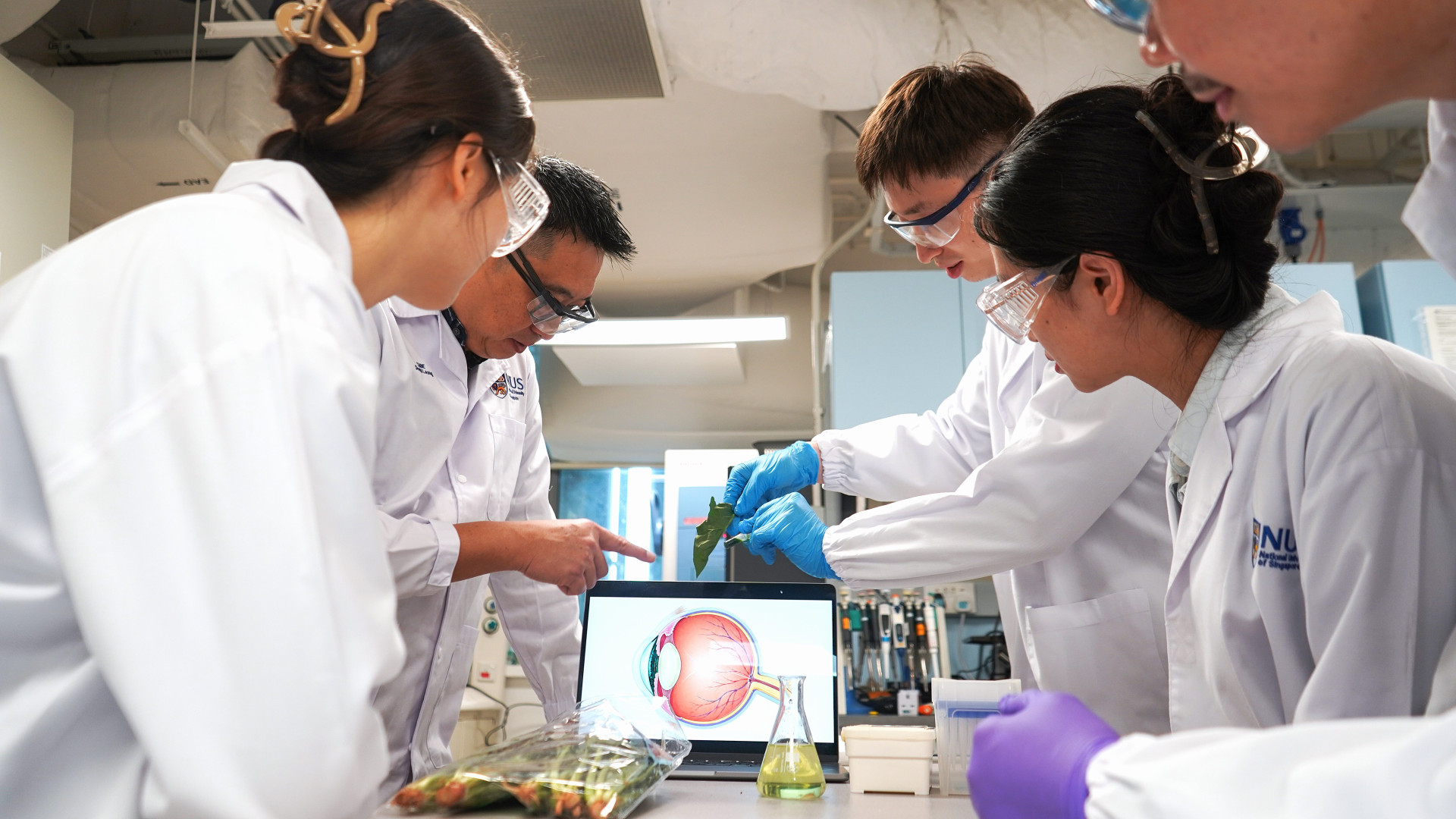 Researchers Develop Dry Eye Candidate Powered by Spinach and Light